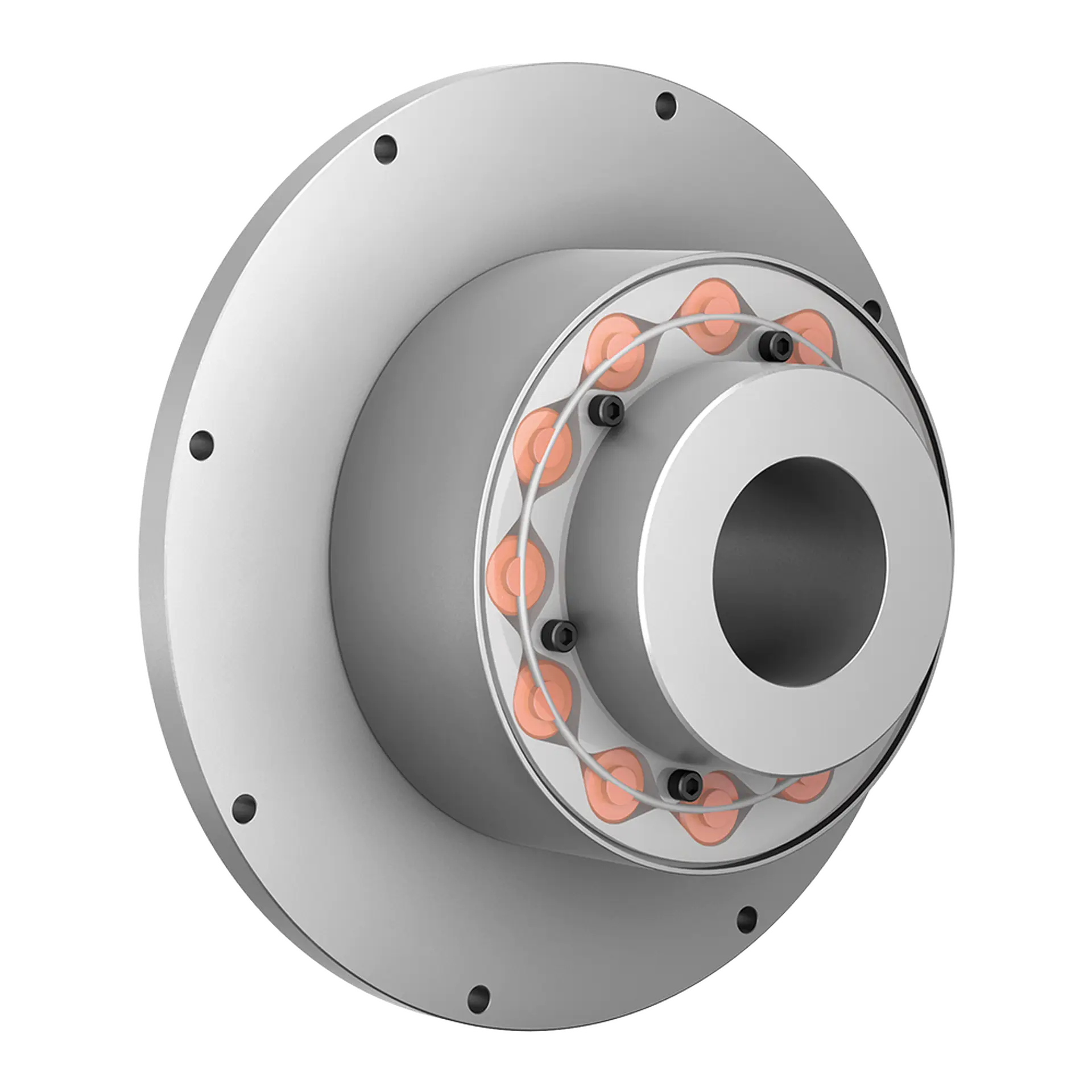 TNR 2424.1 torsional highflex coupling