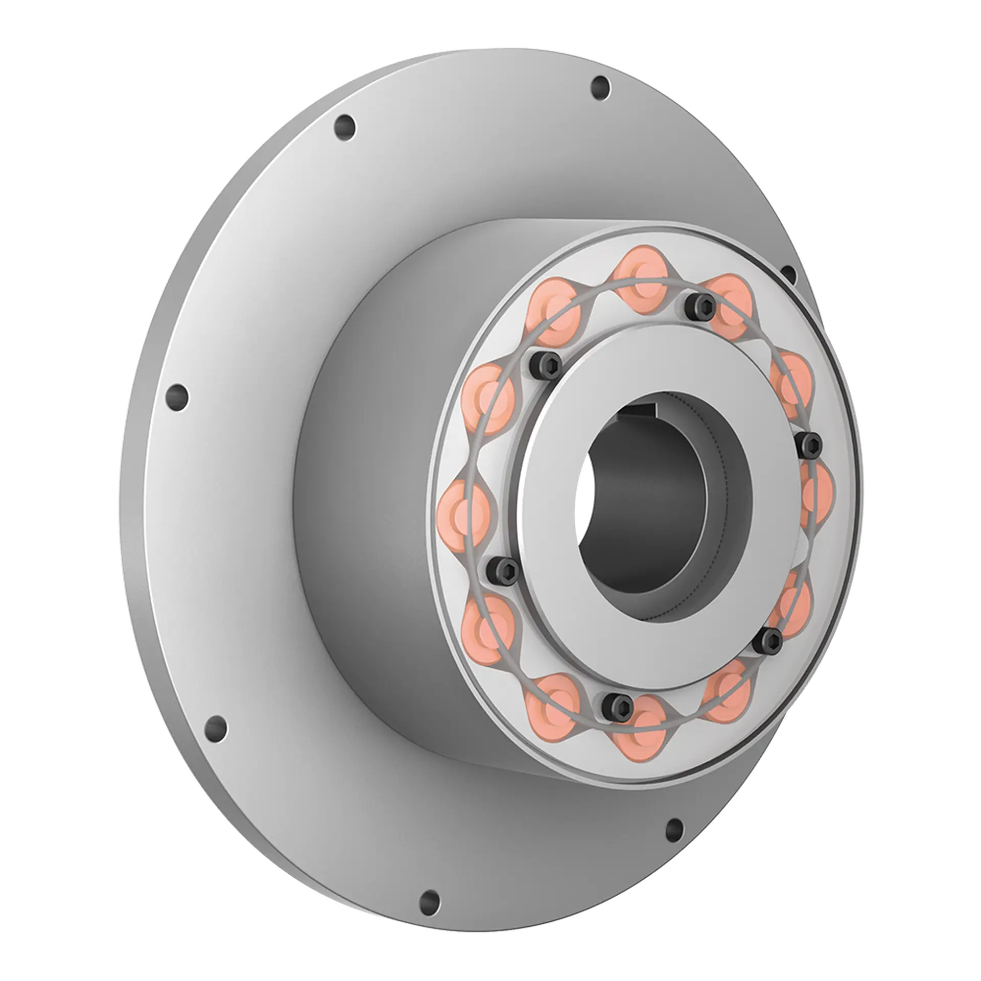 TNR 2425.1 torsional highflex coupling