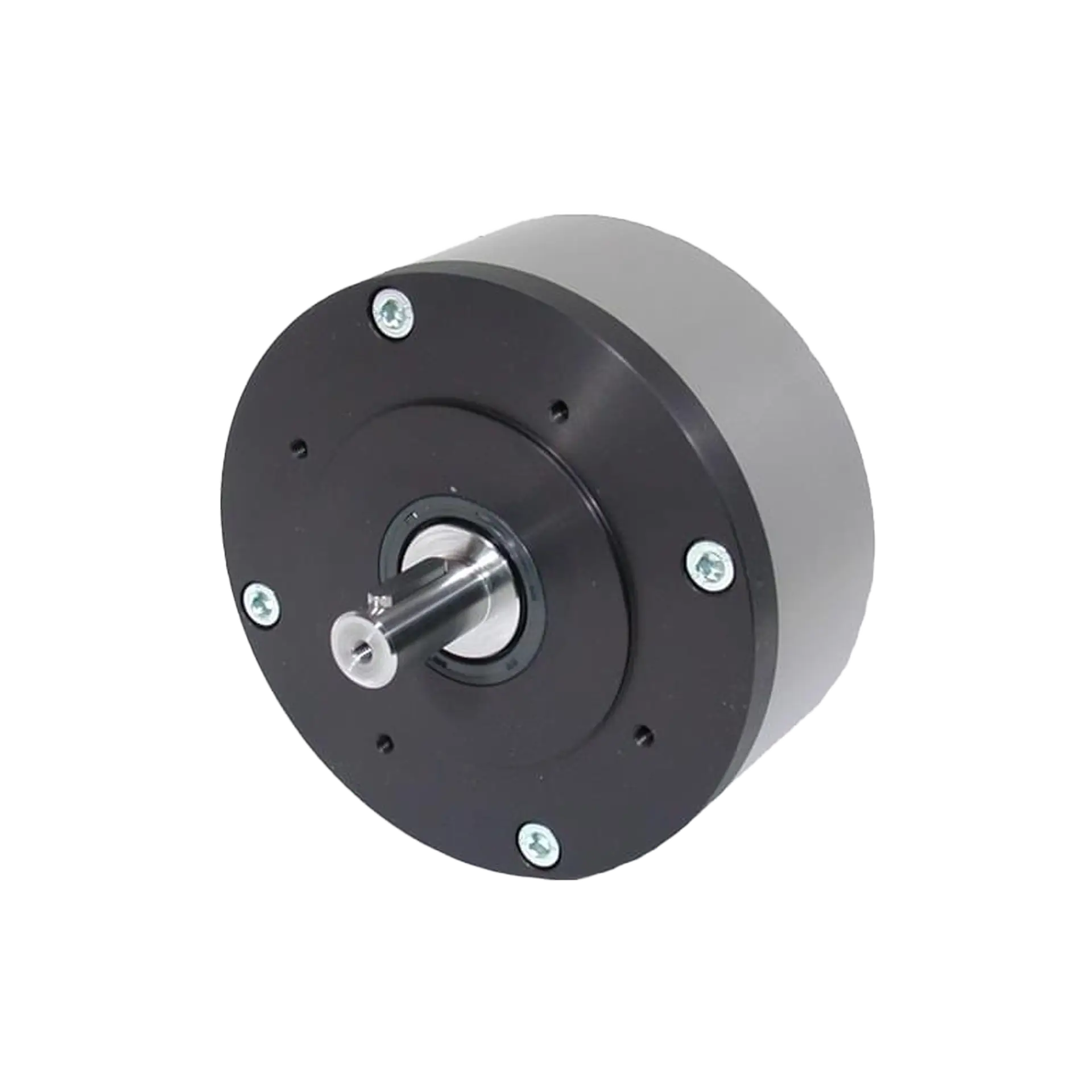 Pneumatic radial piston motor