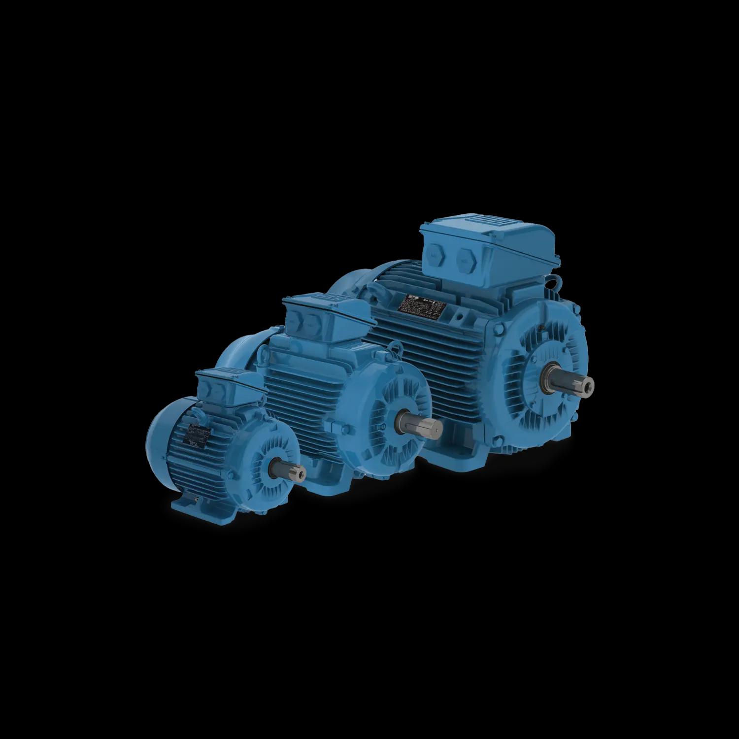 W22 grey cast iron motors – IE1, IE2, IE3, IE4