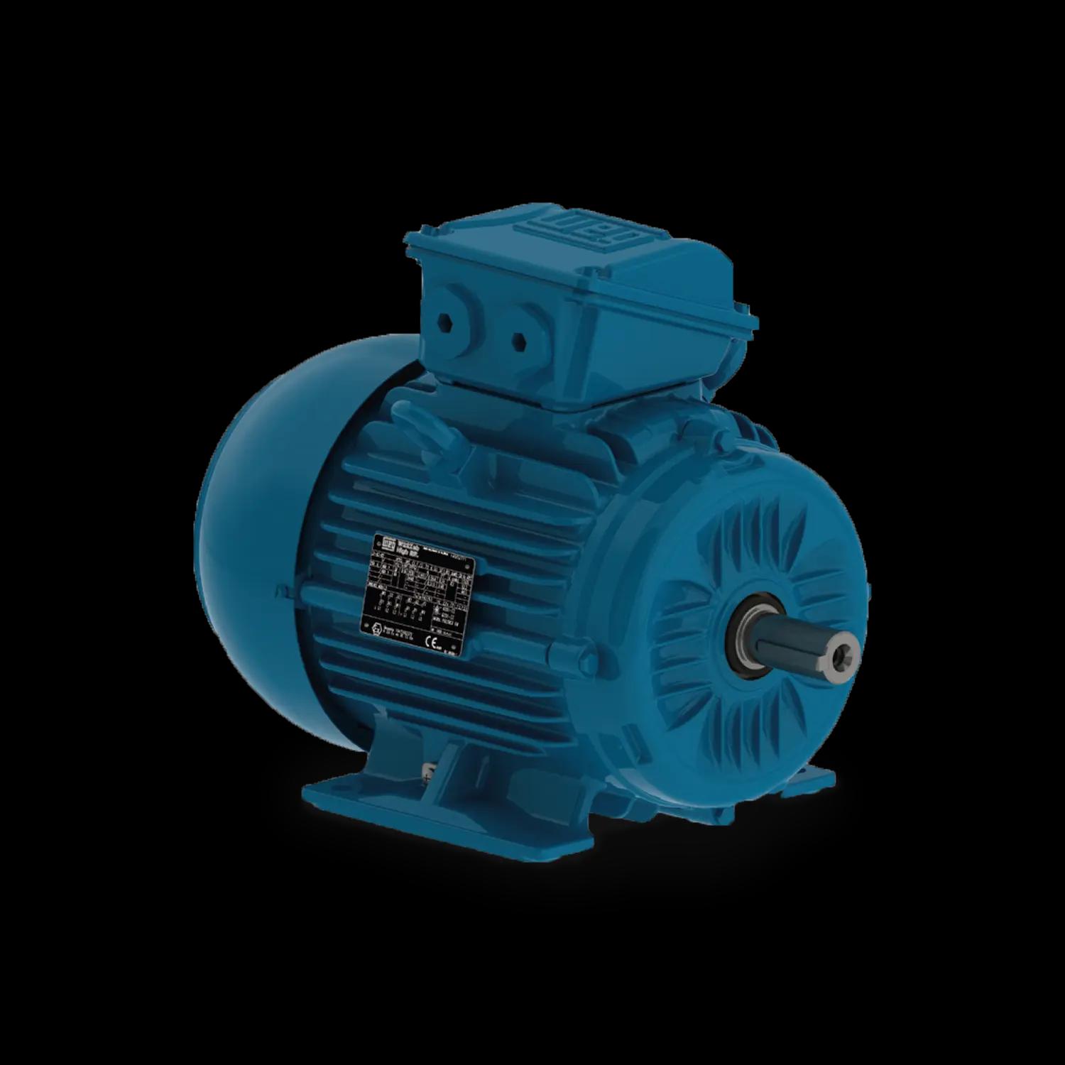 W22Xeb increased safety Ex eb (Zone 1)