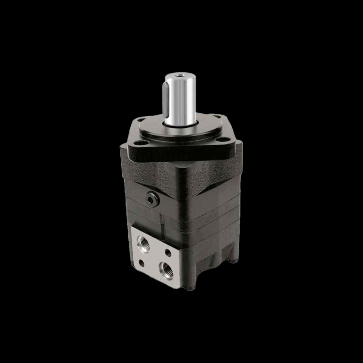 Motores orbitais série pesada