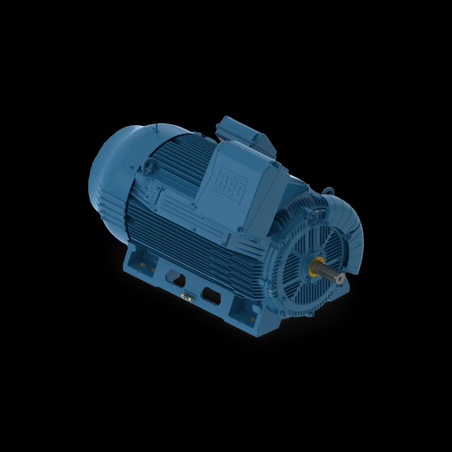 W50 cast iron motors